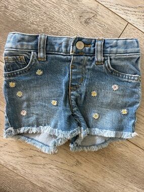 Cat & Jack Denim Floral Embroidered Shorts- 2T